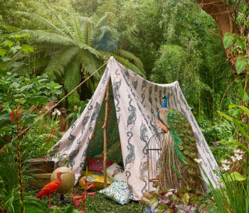 Animalia Fabrics de Clarke & Clarke atrium malaga